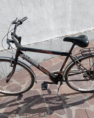 Bicicletta uomo