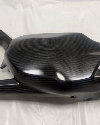 PROTEZIONI FORCELLONE POSTERIORE CARBONIO DUCATI P
