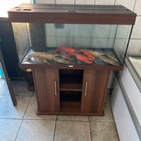 Acquario Juwel 180