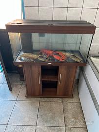 Acquario Juwel 180