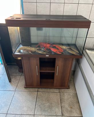 Acquario Juwel 180