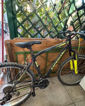 Mountain bike