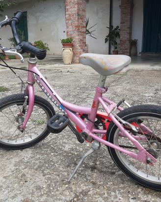 Bicicletta