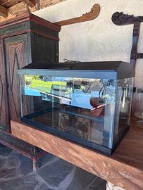 Acquario 60 Lt