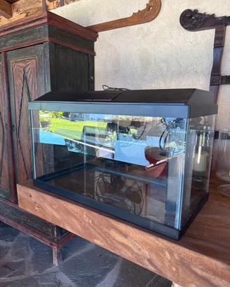 Acquario 60 Lt