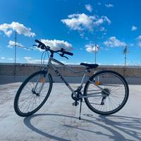 Bicicletta RIVERSIDE 120