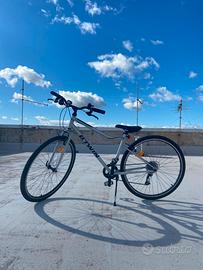 Bicicletta RIVERSIDE 120