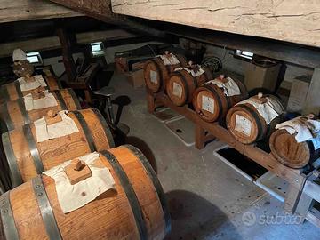 Batteria Botti Aceto Balsamico