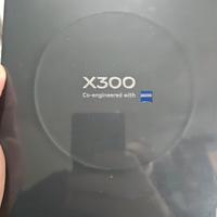 vivo x300 