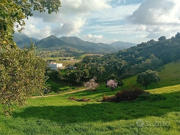 Villa con progetto approvato su 1 ettaro di terren