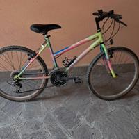 MTB  bicicletta 