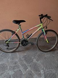 MTB  bicicletta 