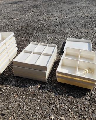 Organizer