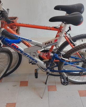 bici da uomo 