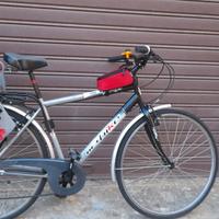 bicicletta da passeggio con seggiolino 