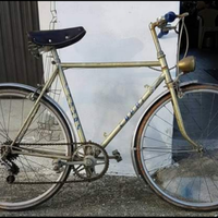 Bici Coppi sport ruote da 22