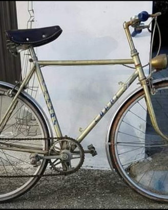 Bici Coppi sport ruote da 22