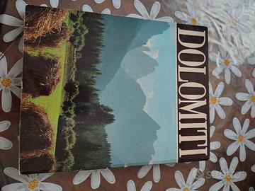 le Dolomiti libro 