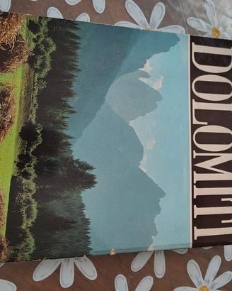 le Dolomiti libro 