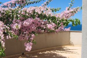 C.sardo magico panorama trilocale libero a luglio