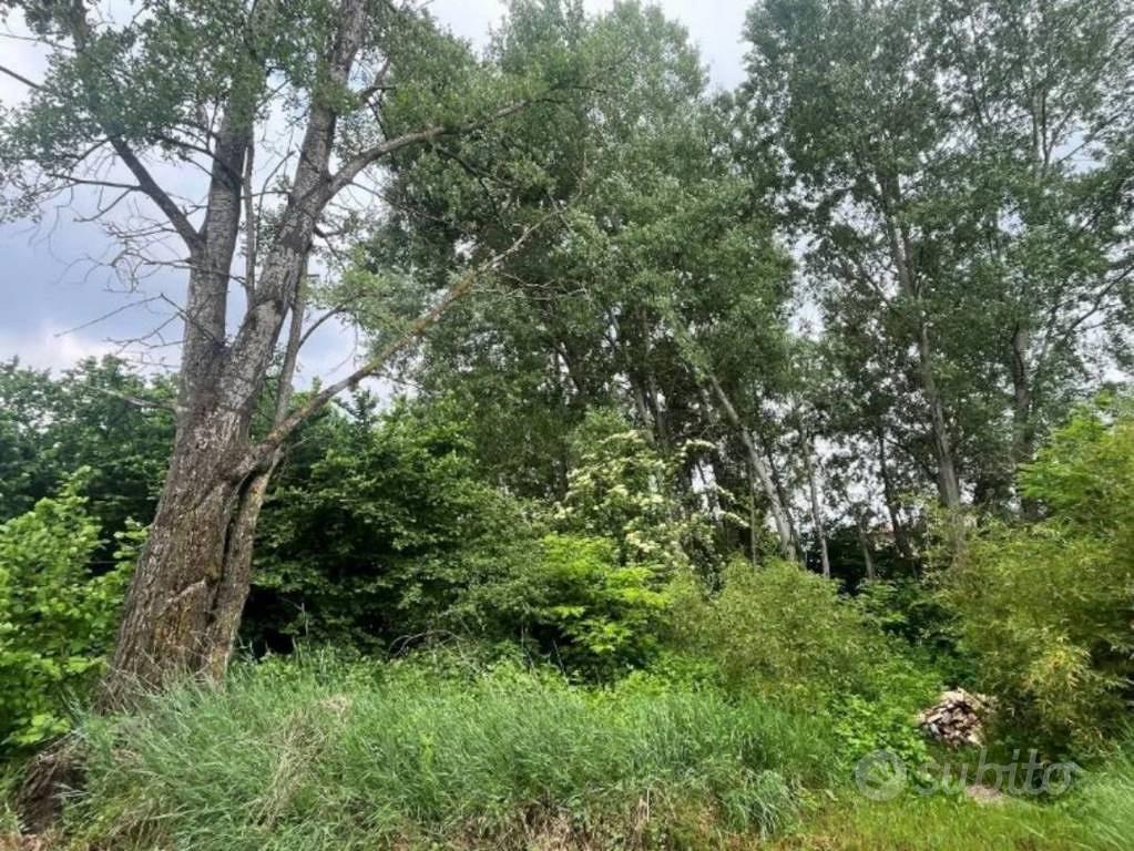 Immobile in asta di 910 m² a Cerrina Monferrato - Altro
