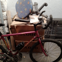 Mountain bike