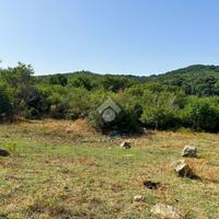 TER. AGRICOLO A BARBARANO ROMANO