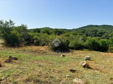 TER. AGRICOLO A BARBARANO ROMANO