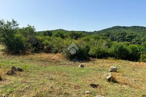 TER. AGRICOLO A BARBARANO ROMANO