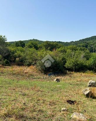 TER. AGRICOLO A BARBARANO ROMANO
