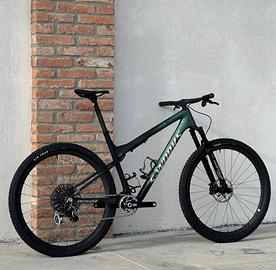 Specialized sworks