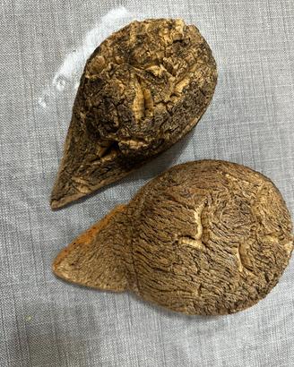 conculedda - ciottola di sughero