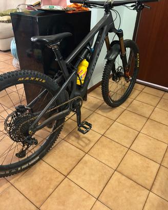 Santa Cruz 5010 c taglia s full kashima