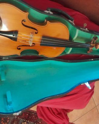 violino 