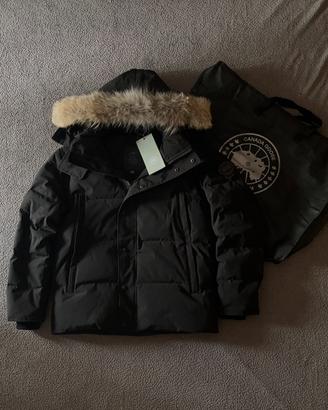 canada goose