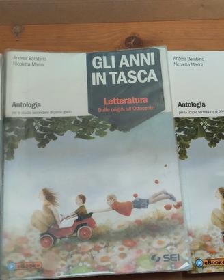 gli anni in tasca letteratura e antologia 