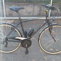 COPPIA BICI BOTTECCHIA UOMO DONNA