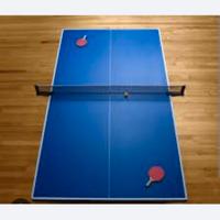 tavolo da ping pong per non utilizzo