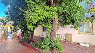 Campidanese com ampio giardino