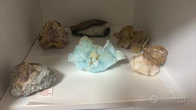 Collezione di minerali