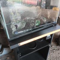 Acquario completo