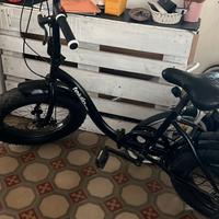 Bicicletta pieghevole