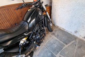 BENELLI    LEONCINO 500 TRIAL