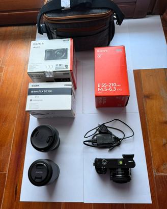 Sony Alpha 6000 + SIGMA 16mm F1.4