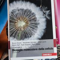 L'essenziale di Biologia Molecolare della Cellula