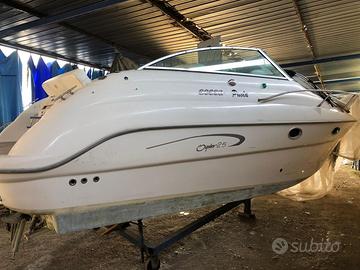 Barca sessa oyster 25