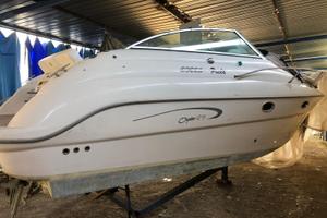 Barca sessa oyster 25