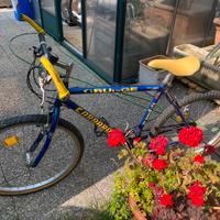 Coppia biciclette mtb