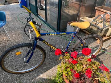 Coppia biciclette mtb