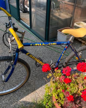 Coppia biciclette mtb
